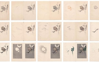 Series of prints that progressively show more of an owl on a branch with moon in background. 