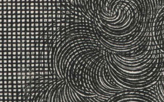 Enlarged version of the copper engraving print that focuses on the curls in the man's wig.