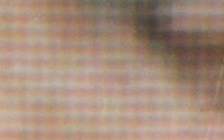 Enlarged view of print that shows squares of pink-tan tones.