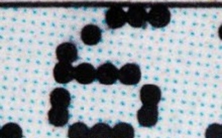 Enlarged print that shows the number 6 in black dots.