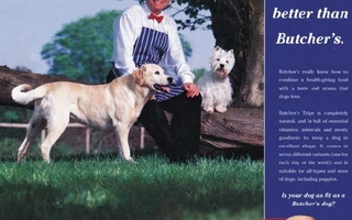 Advertisement that features a chef with dogs. White text on a blue background is on the right.