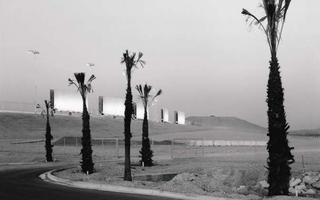 Several palm trees line the curve of a road.