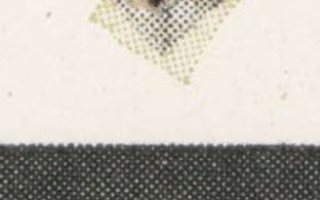 Closeup of duotone print that shows inked dots.