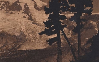 Two trees on a white-capped mountain.