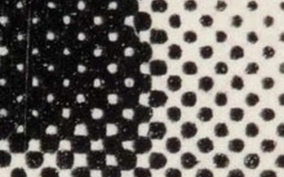 Enlarged halftone with series of white dots on one side and black dots on the other.
