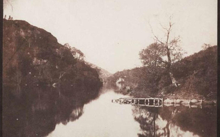 View of a river with trees lining the sides.