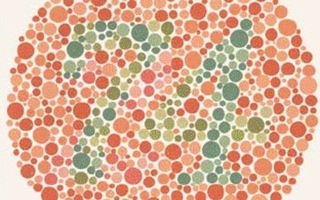 Circle of mostly orange dots with a 74 marked in green dots within.